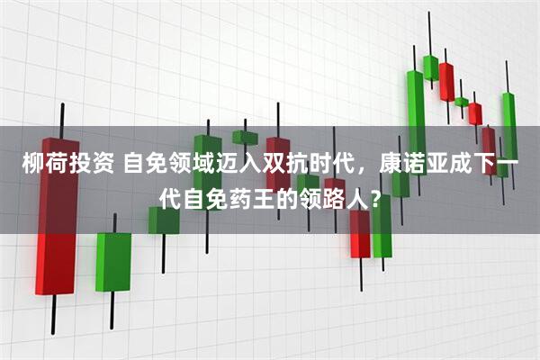 柳荷投资 自免领域迈入双抗时代，康诺亚成下一代自免药王的领路人？