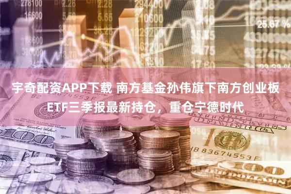 宇奇配资APP下载 南方基金孙伟旗下南方创业板ETF三季报最新持仓，重仓宁德时代