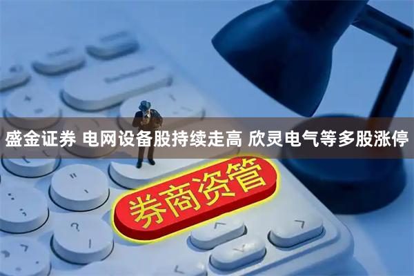 盛金证券 电网设备股持续走高 欣灵电气等多股涨停